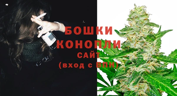 бутират Медногорск
