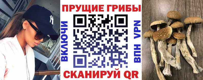 Псилоцибиновые грибы мухоморы  Хабаровск 
